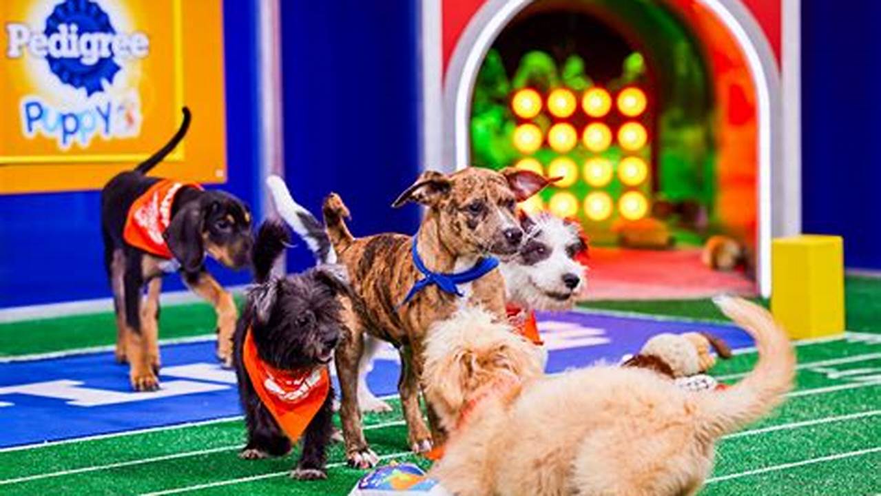 When Is The Puppy Bowl 2024