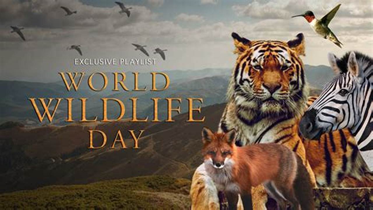 When Is World Wildlife Day 2024