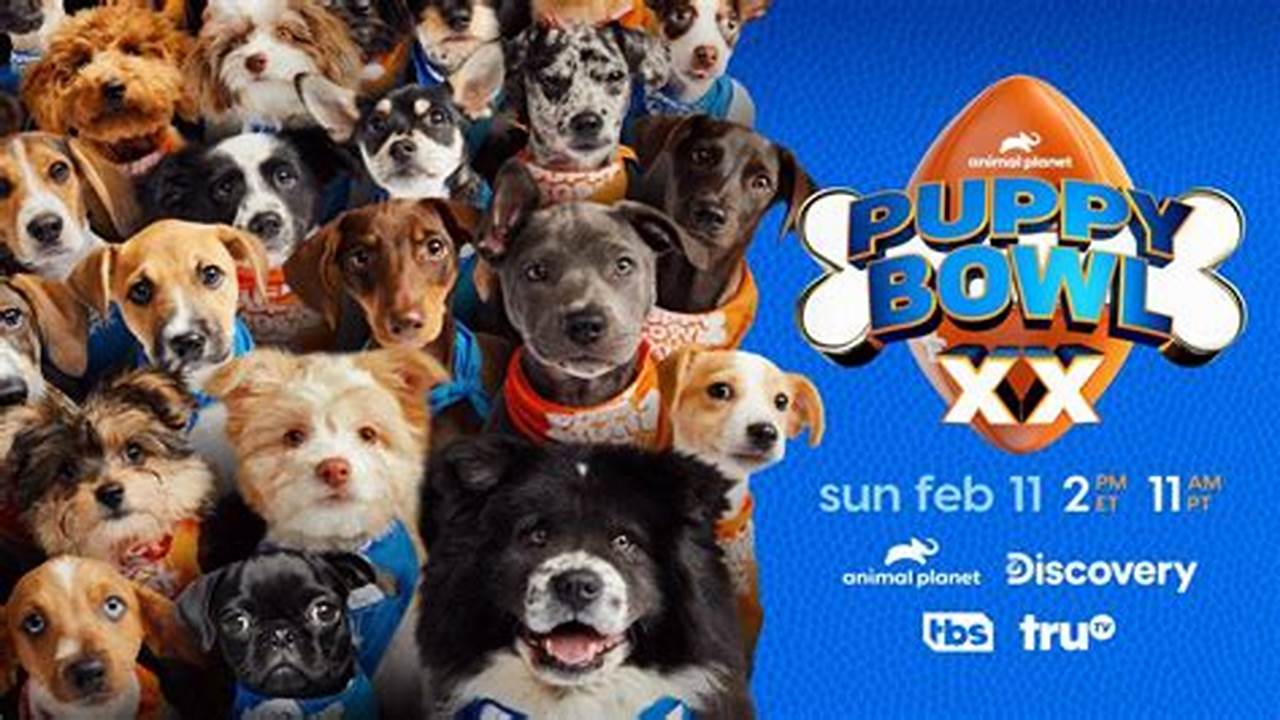 Where Can I Watch The Puppy Bowl 2024