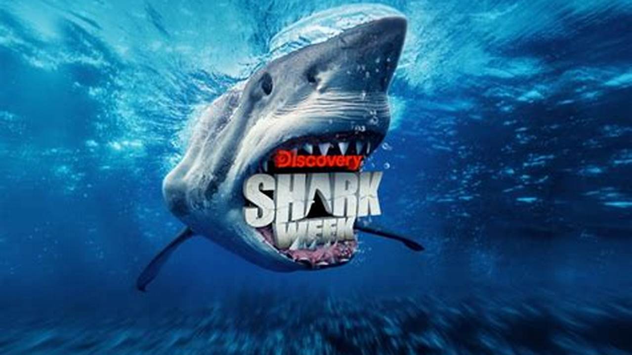 Where Is Shark Week Streaming 2024