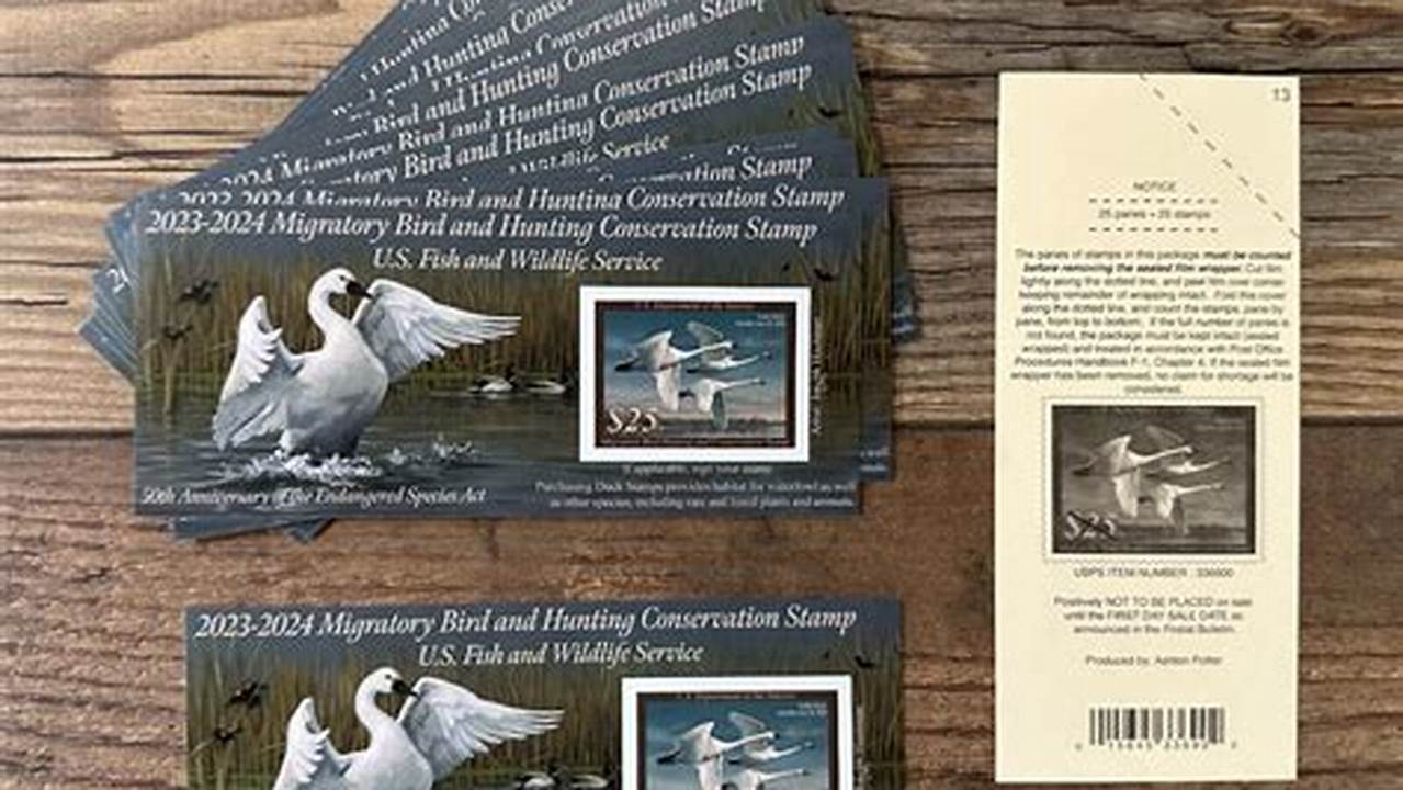 Where To Buy 2024-2024 Federal Duck Stamp