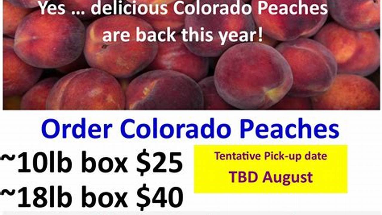 Where To Buy Colorado Peaches 2024