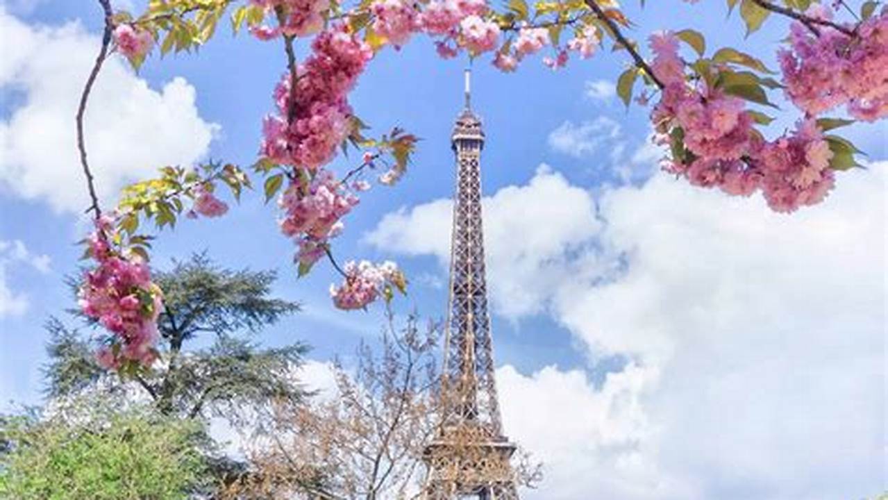 Where To See Cherry Blossoms In Paris, 2024
