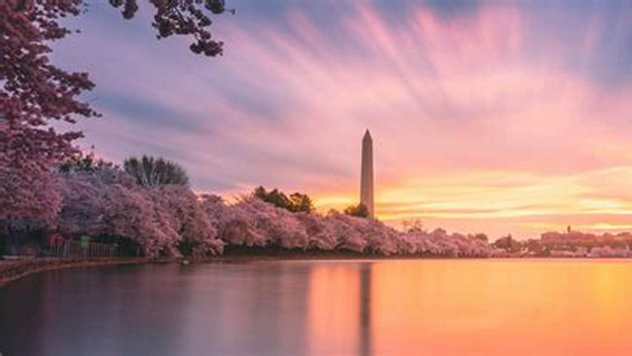 While The Nps Initially Predicted Peak Bloom In Washington, D.c., 2024