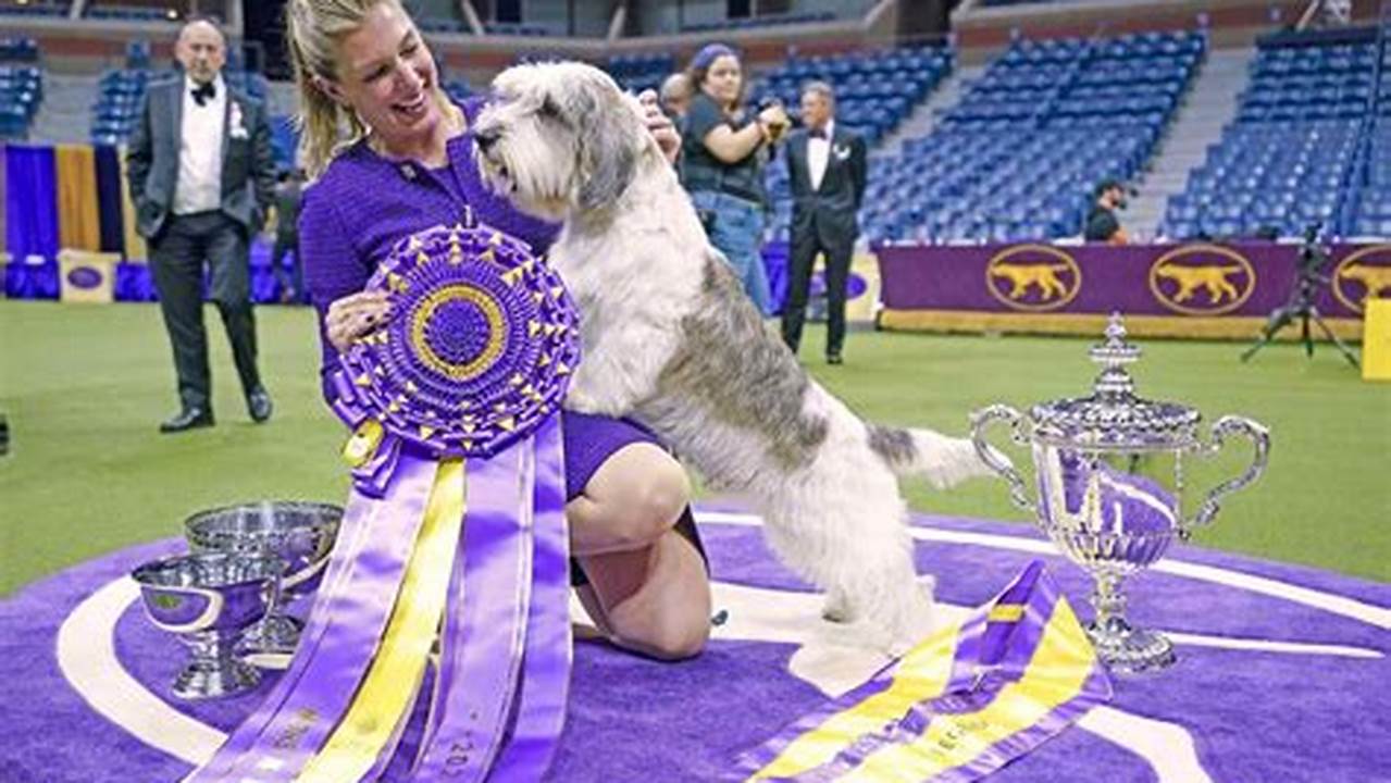 Who Won Best In Show Dog Show 2024
