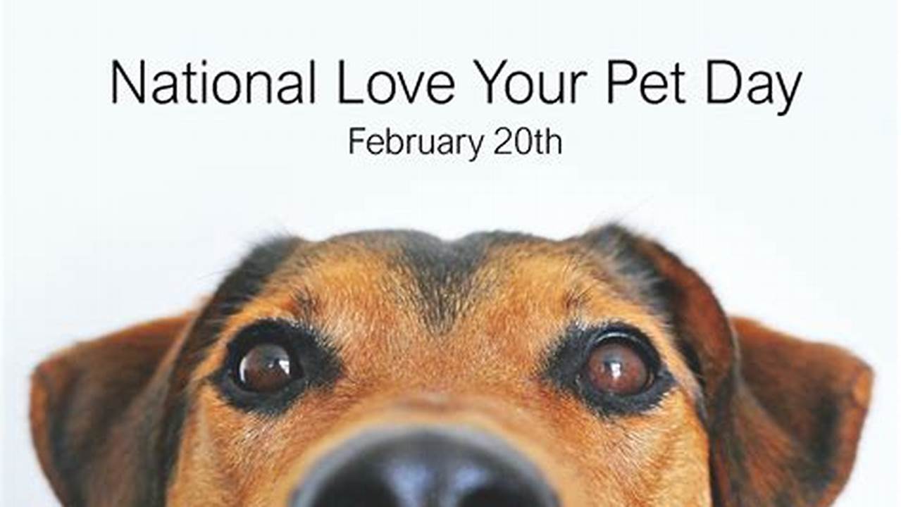 Whoever You’re Spending This Special Day With, Mark February 20Th In Your Calendar Because It’s National Love Your Pet Day!, 2024