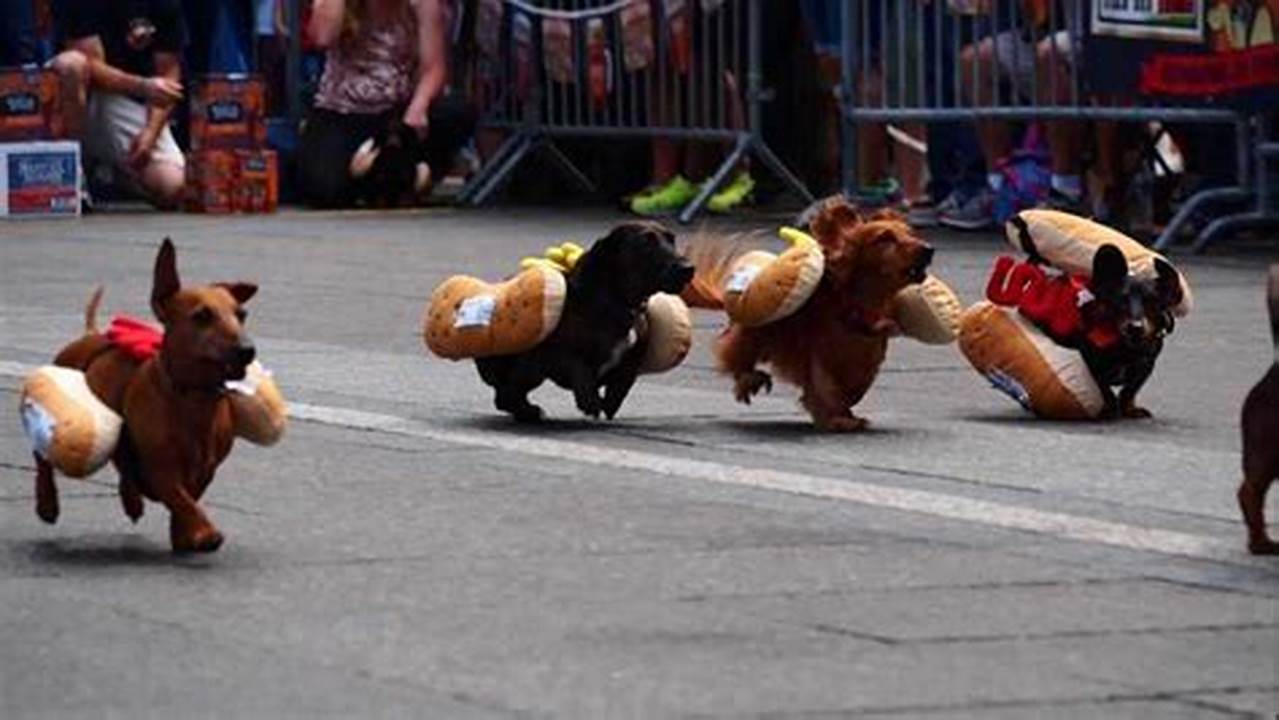Wiener Dog Festival 2024