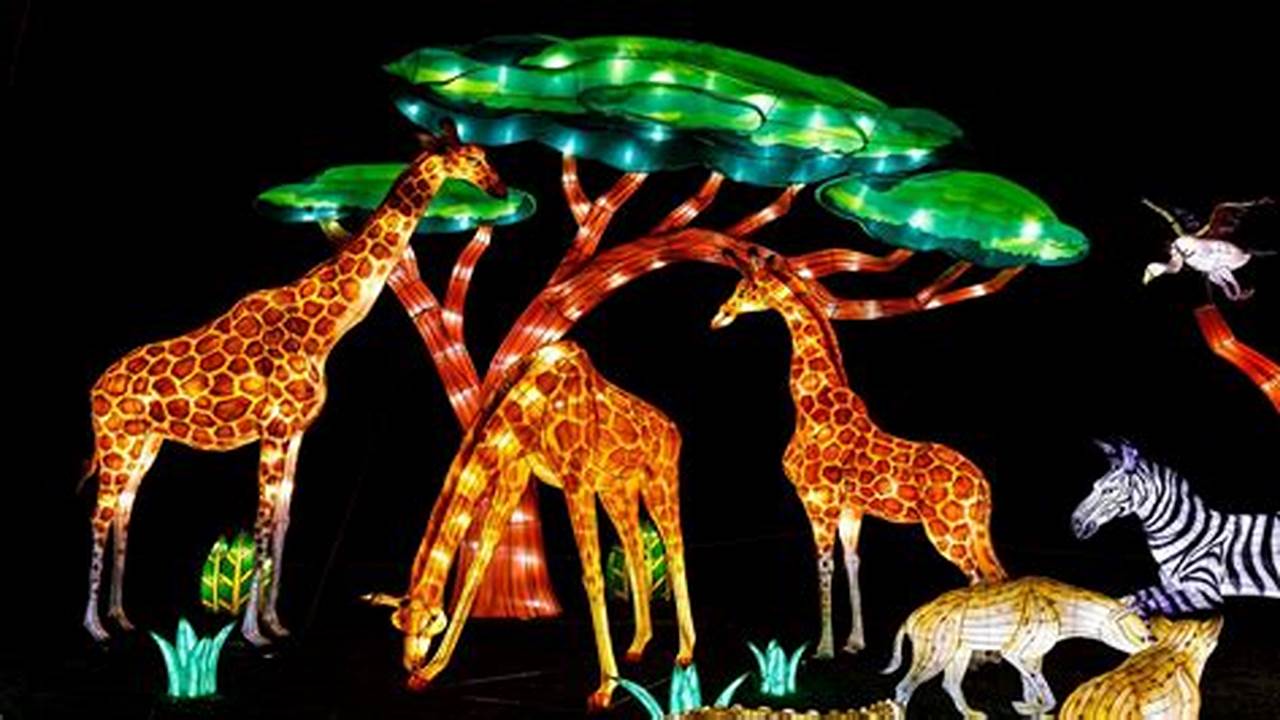 Wild Lights At The Zoo 2024