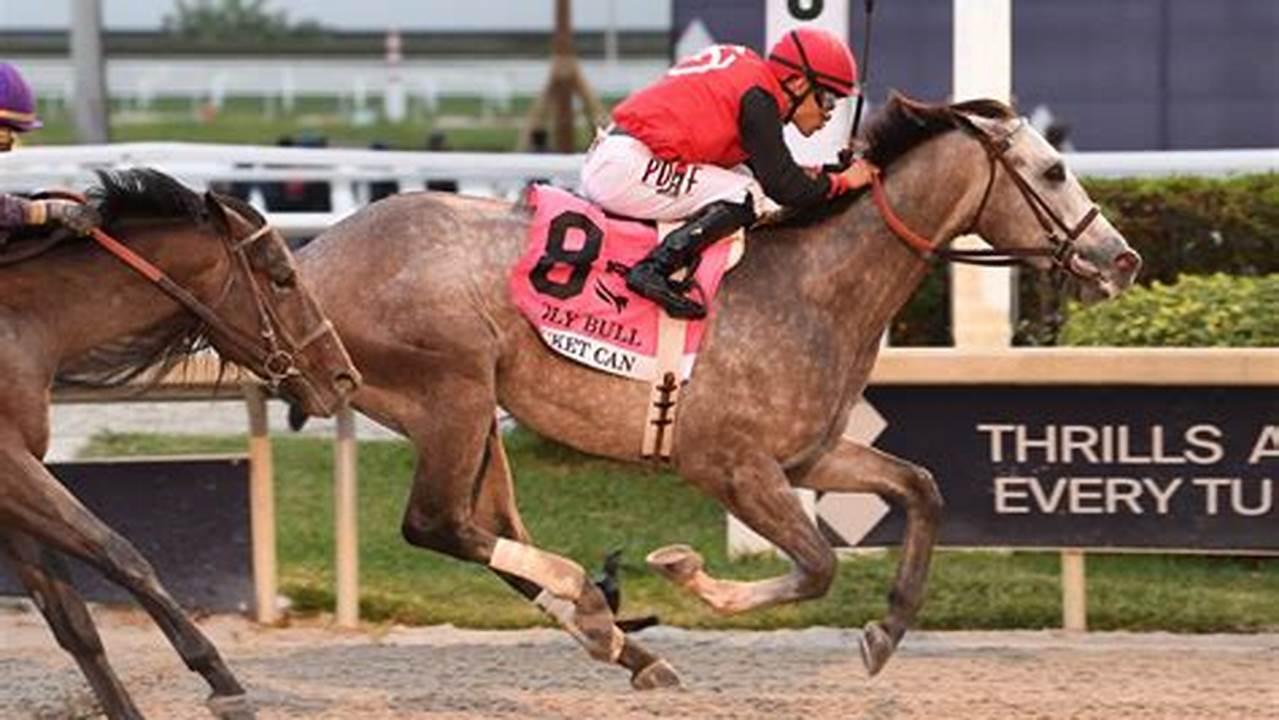 With The Big Holy Bull Upset And Three Other Kentucky Derby Preps, There Were Plenty Of Additions To Horse Racing Nation &#039;S Kentucky Derby 2024 Top 50 List, But Let&#039;s Get This Out Of The Way., 2024