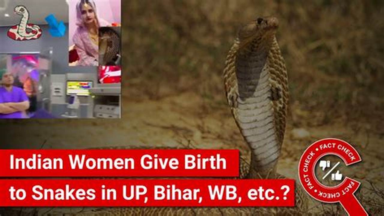 Woman Gave Birth To Snake In India 2024