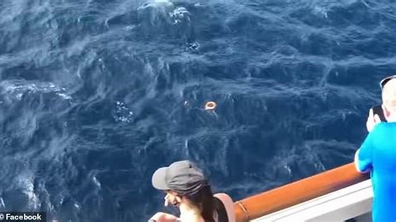 Woman Jumps Off Cruise Ship 2024