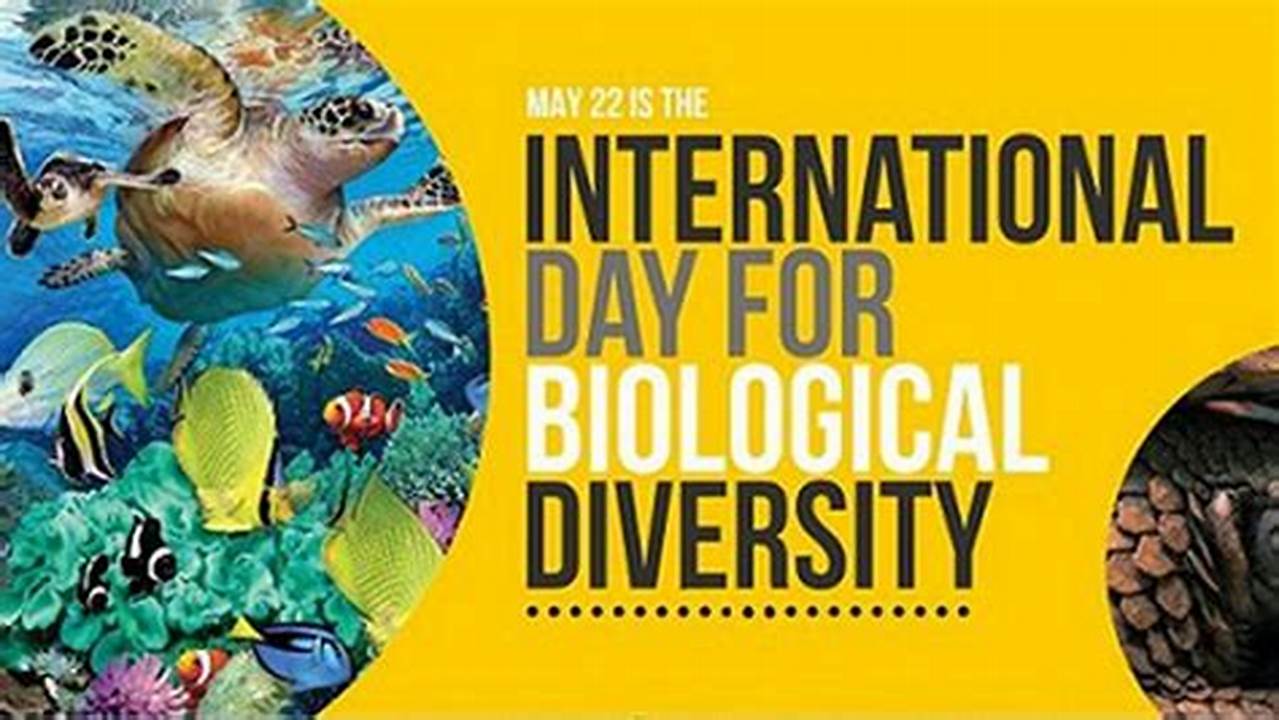 World Biodiversity Day 2024