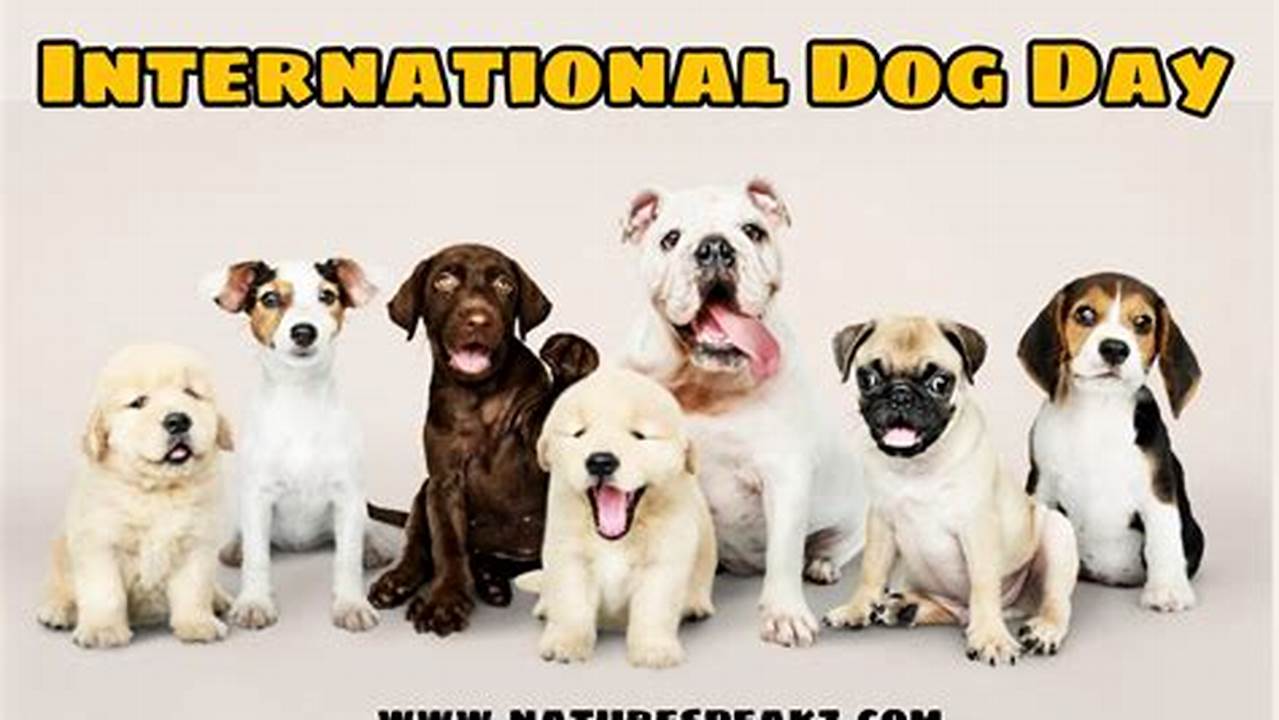 World Dog Day 2022 In India