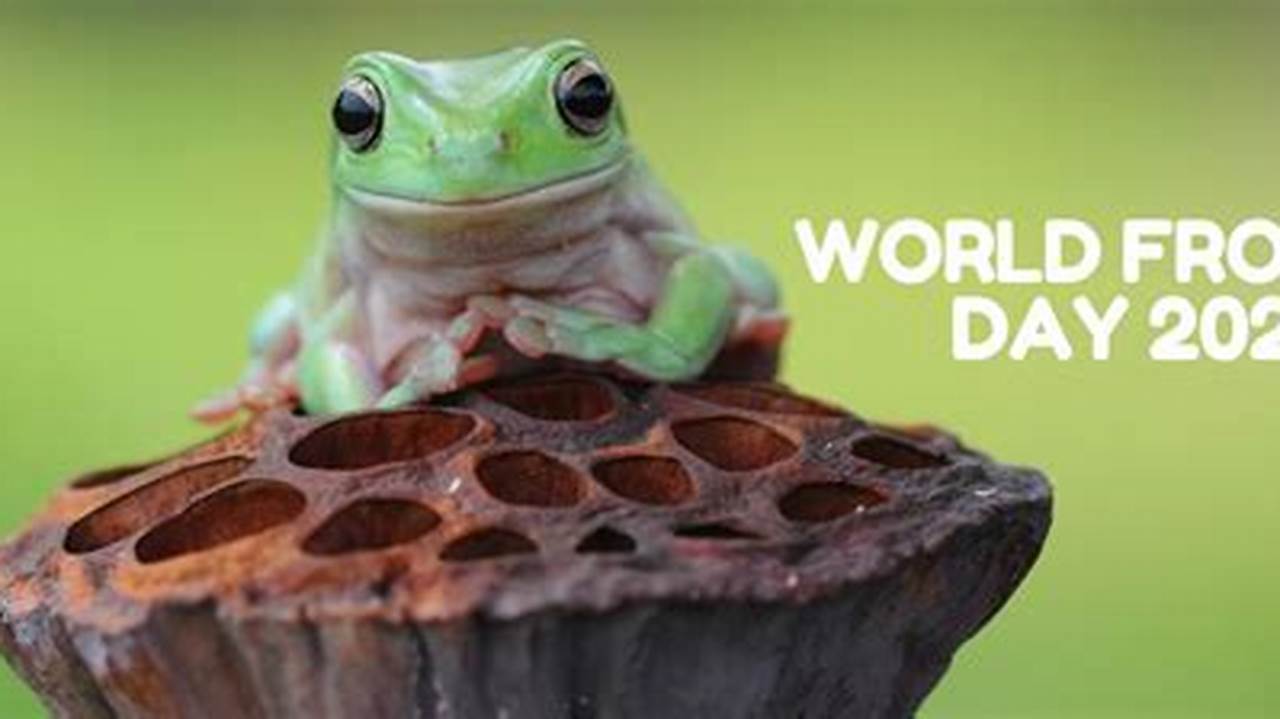 World Frog Day 2024