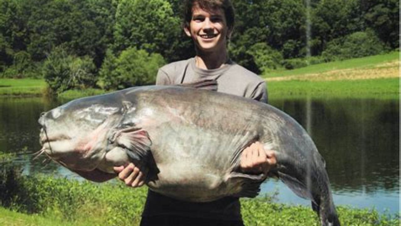 World Record Catfish 2024