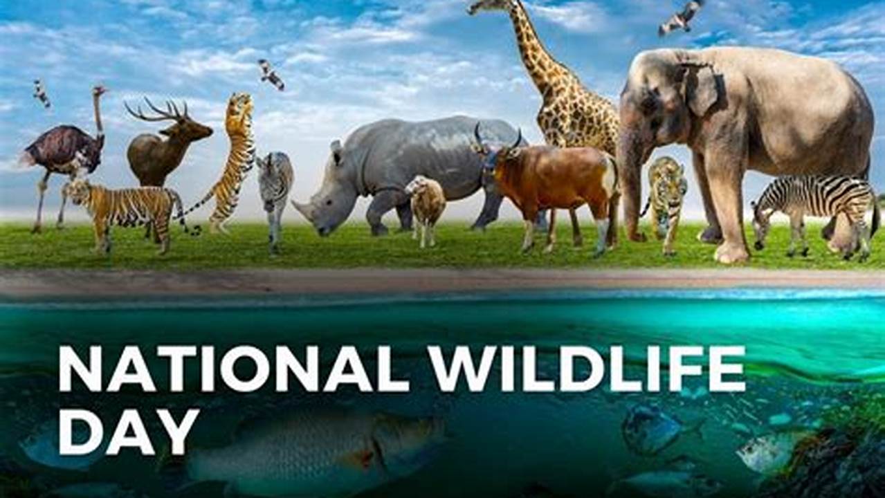 World Wildlife Week Celebration 2024 Usa