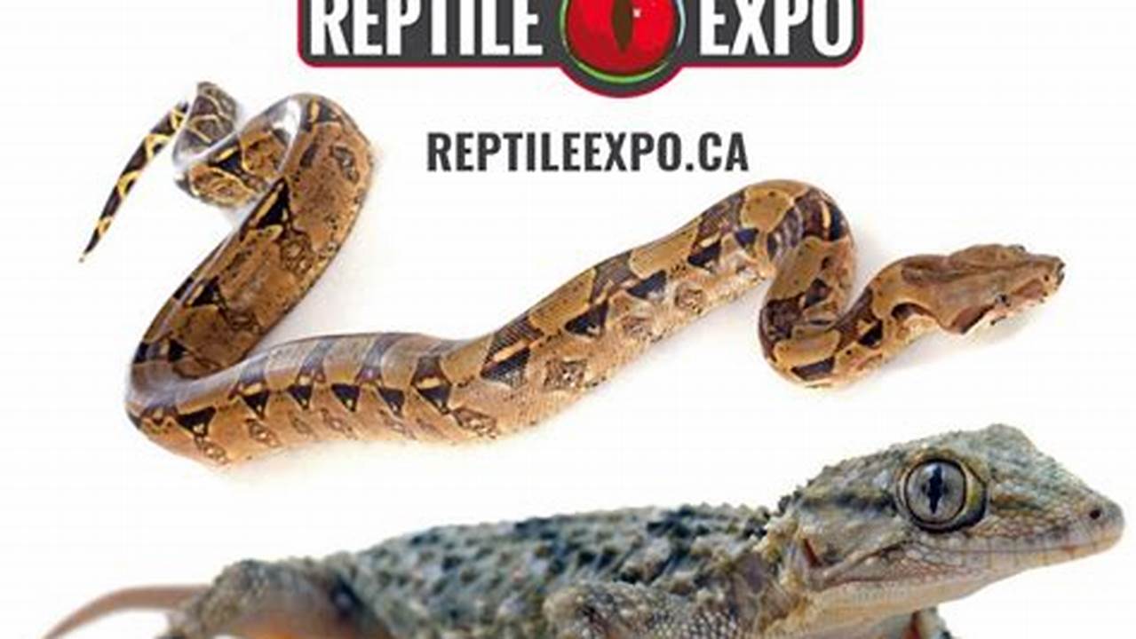 Your Ticket Includes The Inaugural Plant Expo, Hosted By The Toronto Reptile Expo!, 2024