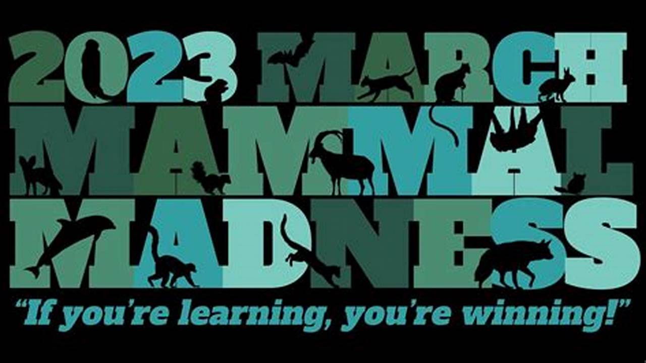 Youtube March Mammal Madness 2024 Live Stream Brook Tawsha