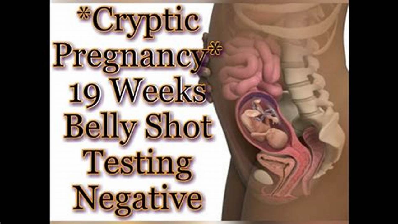 Zona Cryptic Pregnancy Update 2024