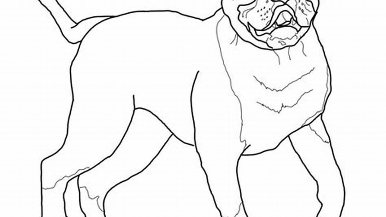 American Bulldog Coloring Pages: A Fun and Educational Activity