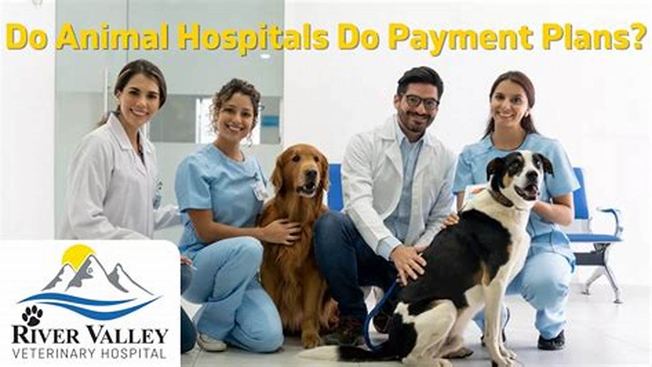 animal hospital that does payment plans
