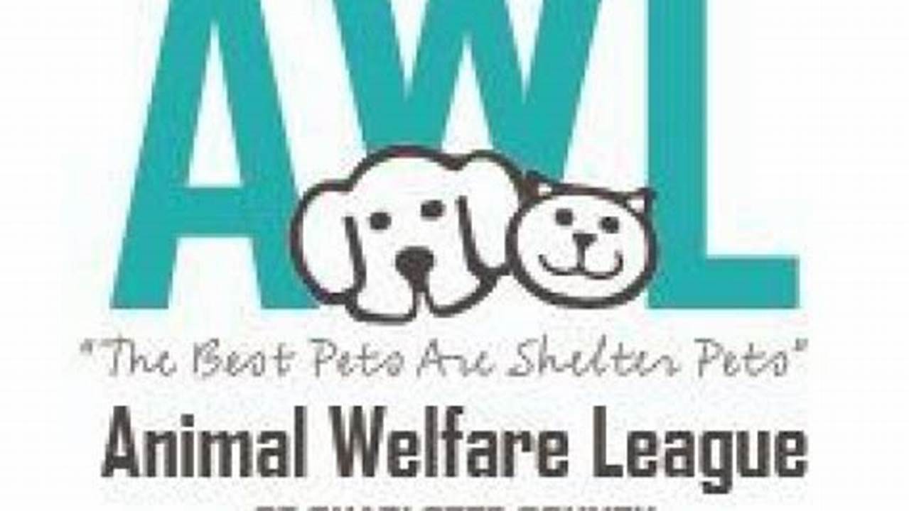 Find Your Furry Friend: Adopt from Animal Welfare League of Charlotte County