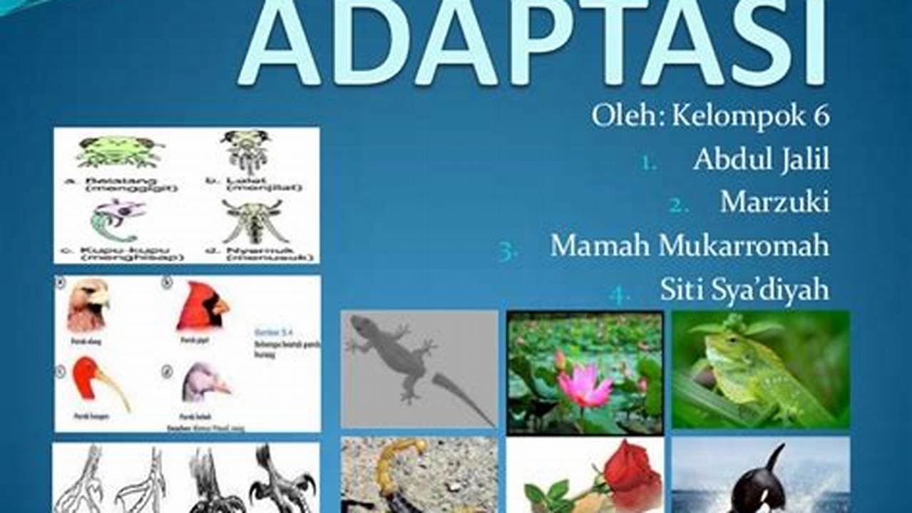 Apa itu Adaptasi: Panduan Lengkap Memahami Konsep Adaptasi