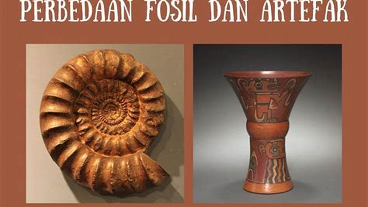 apakah perbedaan fosil dan artefak