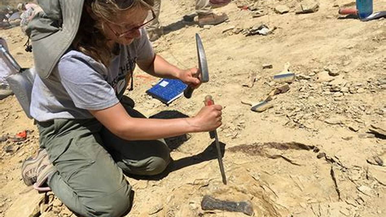 Archaeological Digs Volunteer 2023: Unearthing History One Spade at a Time