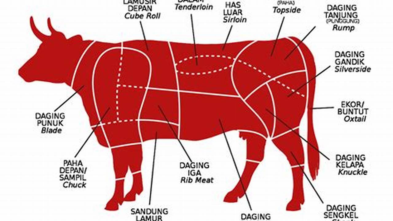Panduan Lengkap: Bagian Daging Sapi dalam Bahasa Indonesia