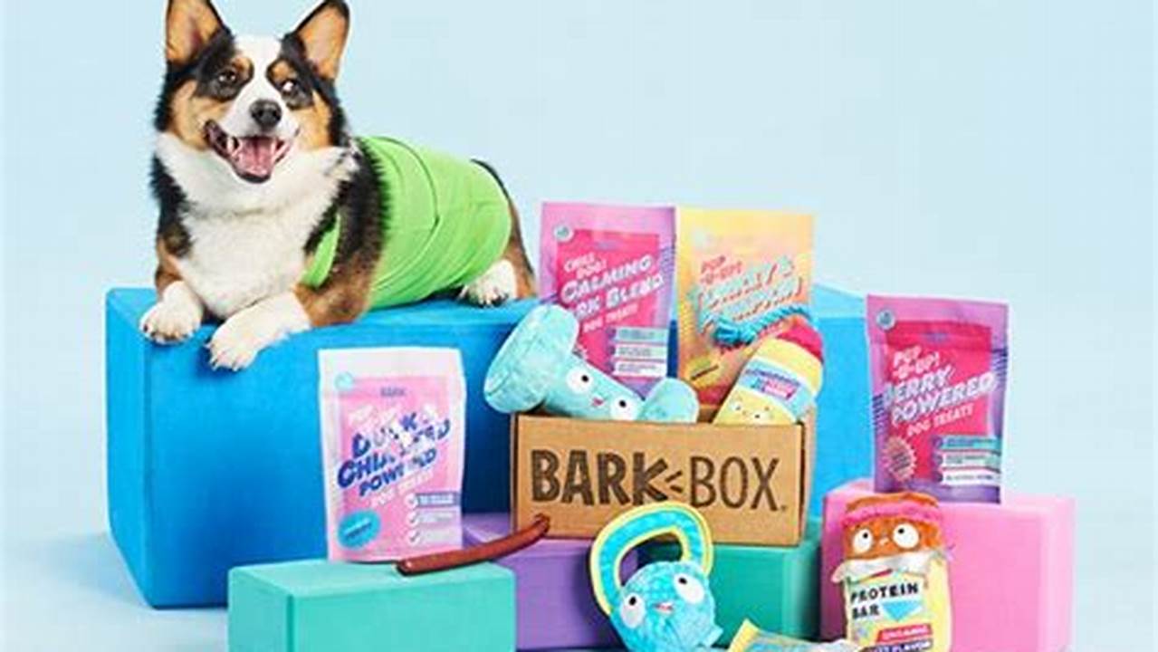 Unveiling BarkBox Cost: A Comprehensive Guide for Pet Owners