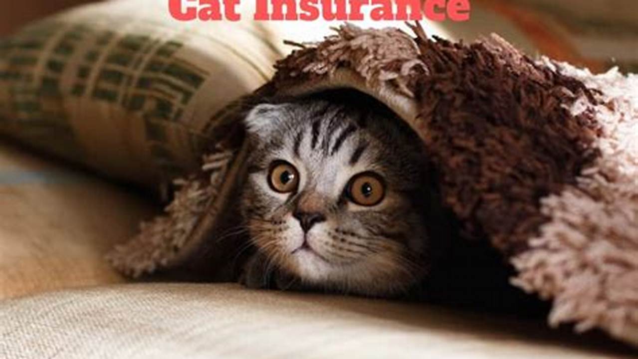 Unleash the Secrets: Discover the Best Cats Insurance for Your Feline Companion