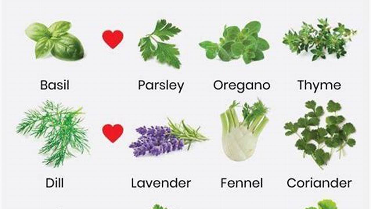 Unveiling the Secrets of Herb Harmony: Discover the Best Herbs to Grow Together