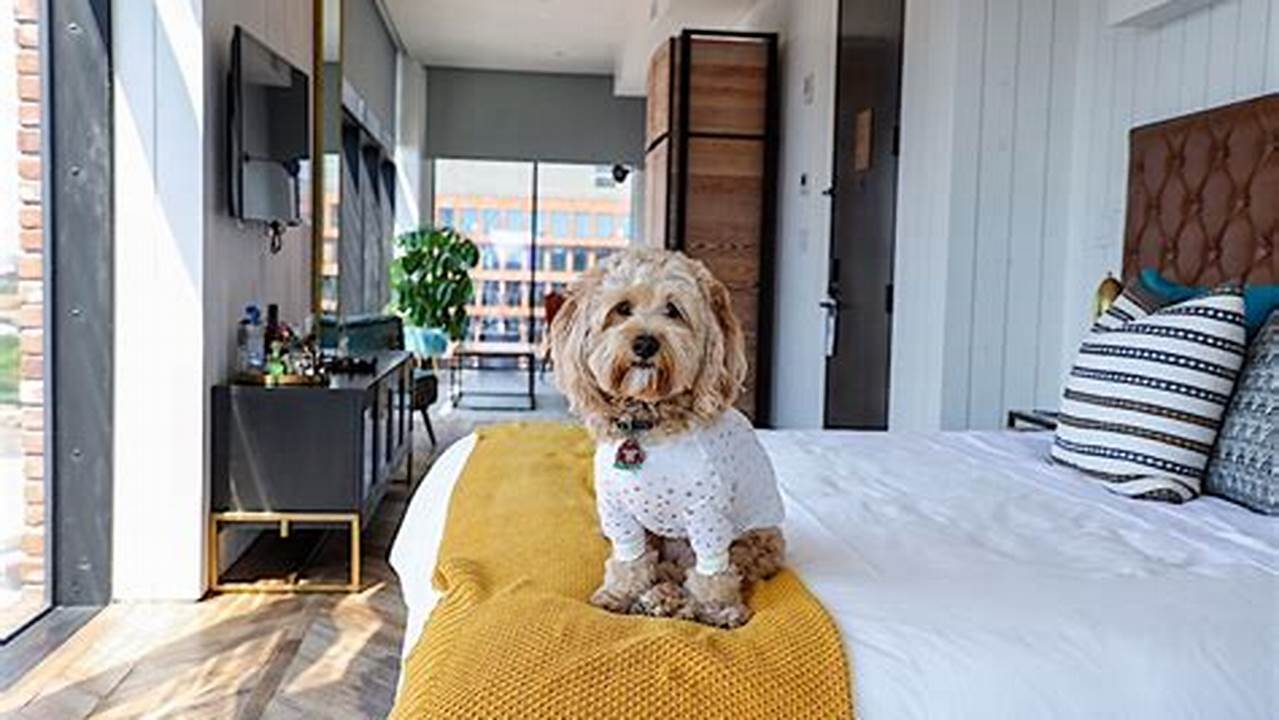 5 Paw-some Pet-Friendly Resorts in NYC: A Tail-Wagging Guide