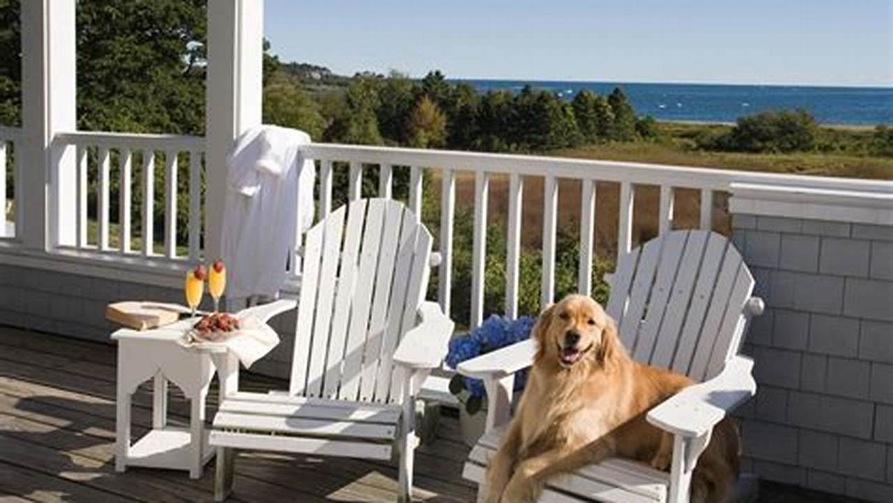 Unveiling 7 Pet Resorts in NYC That Will Pamper Your Furry Friend!