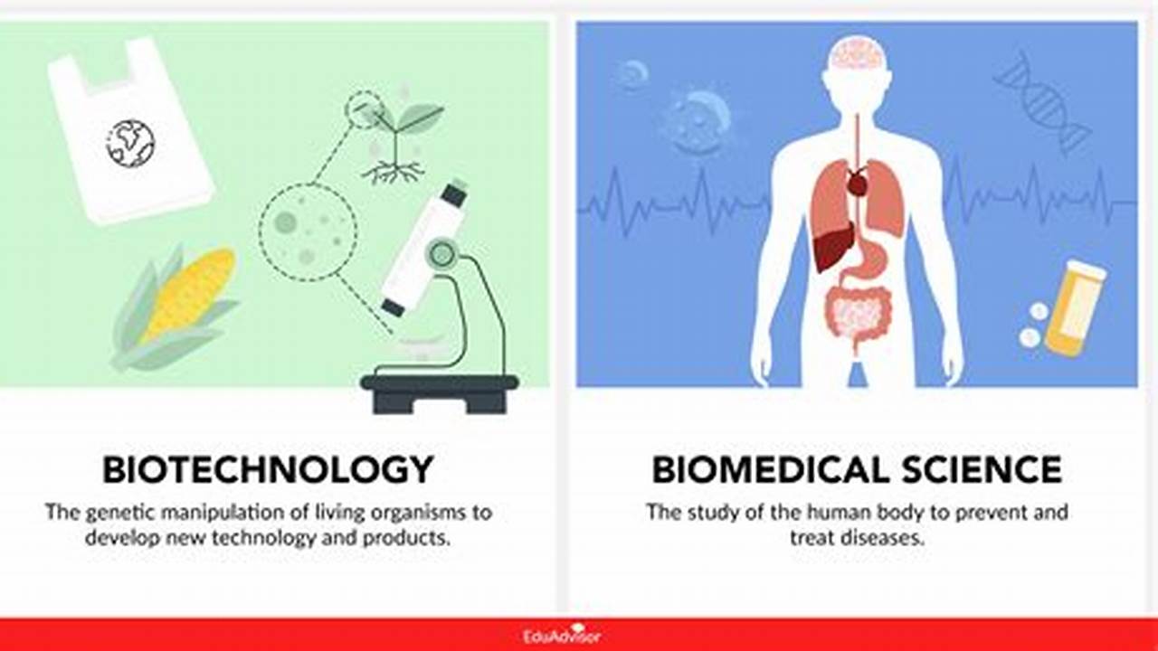 Biotechnology vs. Biomedical Engineering: A Comprehensive Guide