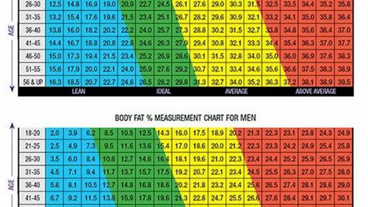 How to Calculate Body Fat Percentage: A Guide to the Jackson and Pollock Method