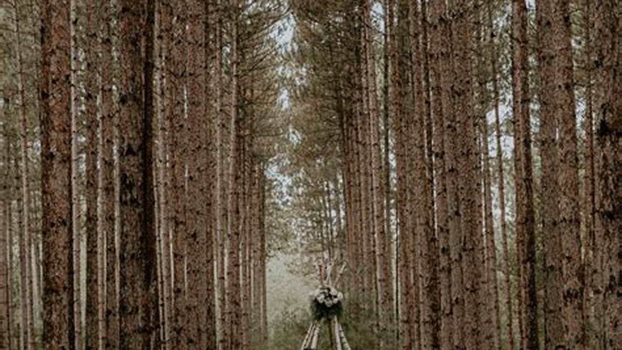 Discover Enchanting Boho Wedding Venues: Unveil Hidden Gems and Create Unforgettable Memories