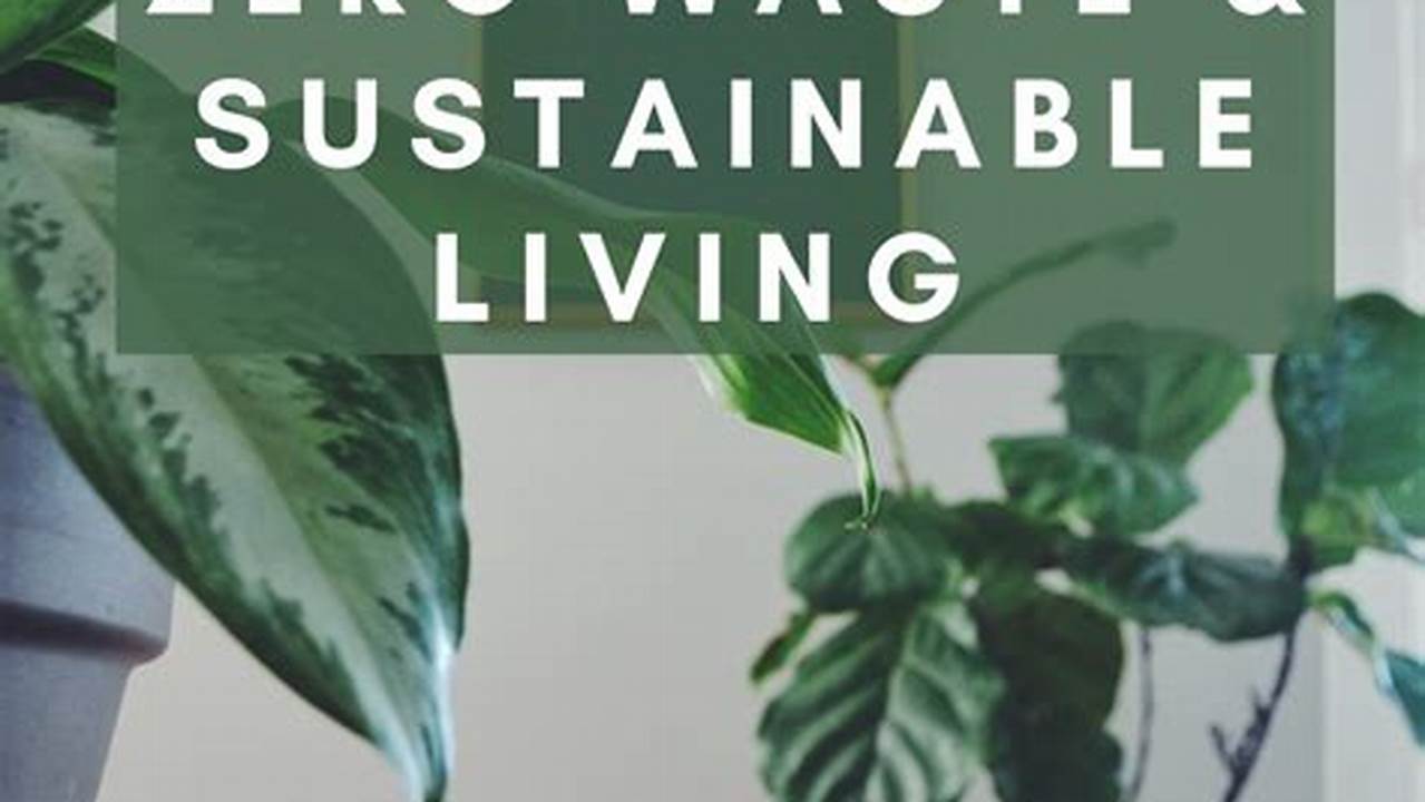 Uncover a Sustainable Future: Discover the Books that Guide Your Journey