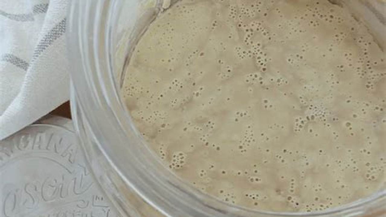 Sourdough Starter: A Guide to Preservation and Troubleshooting