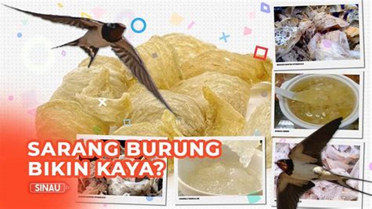 Panduan Lengkap: Cara Membuat Makanan Burung Walet Berkualitas