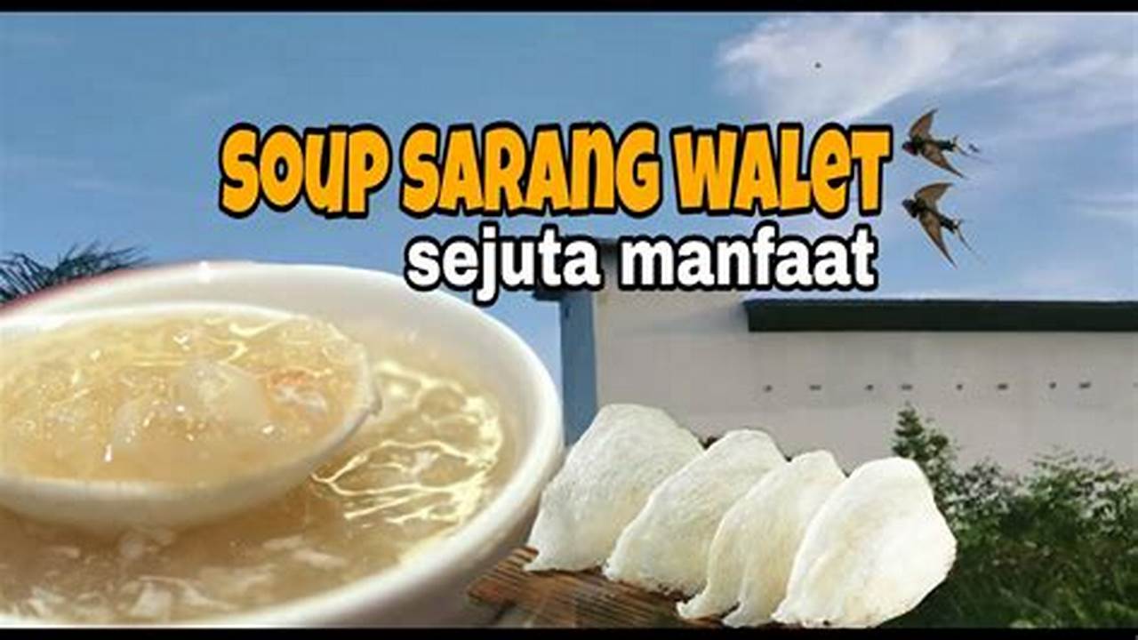 Panduan Lengkap Cara Membuat Sup Sarang Burung Walet