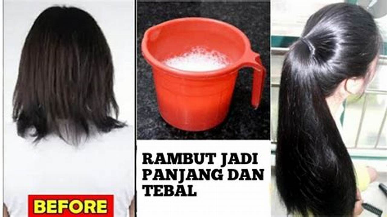 Rahasia Kilat Panjangkan Rambut Wanita, Dijamin Cepat & Alami!