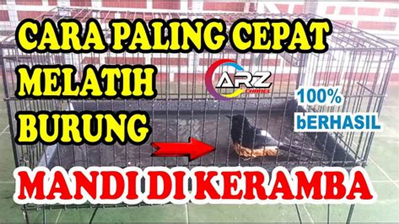 Panduan Lengkap: Cara Melatih Burung Murai Batu Mandi di Keramba