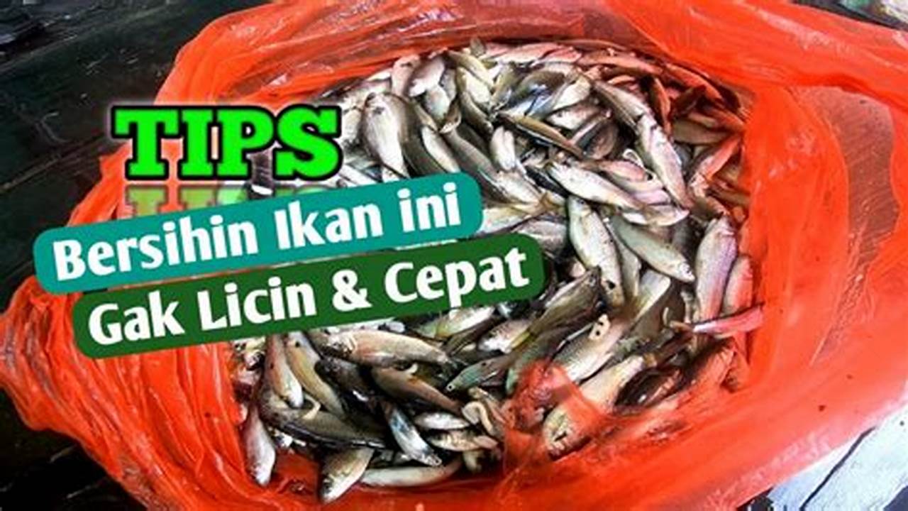 Cara Bersihkan Ikan Wader Hebat: Rahasia & Tips Penting