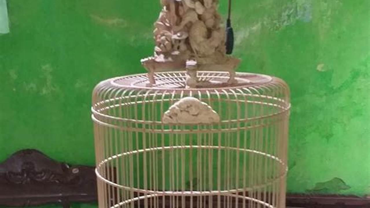 Panduan Lengkap: Cara Membuat Sangkar Burung Pleci dari Paralon