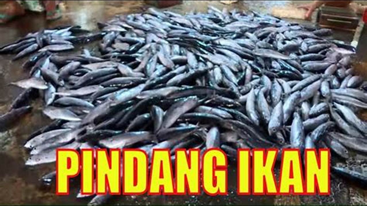 Rahasia Memindang Ikan Laut: Tips Ampuh, Manfaat Tersembunyi, dan Cita Rasa Lezat!