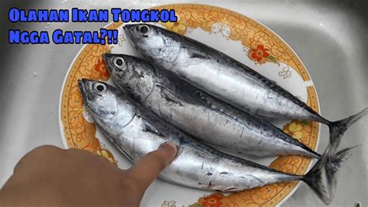 Cara Olah Ikan Tongkol MPASI: Rahasia Bergizi untuk Bayi Sehat!