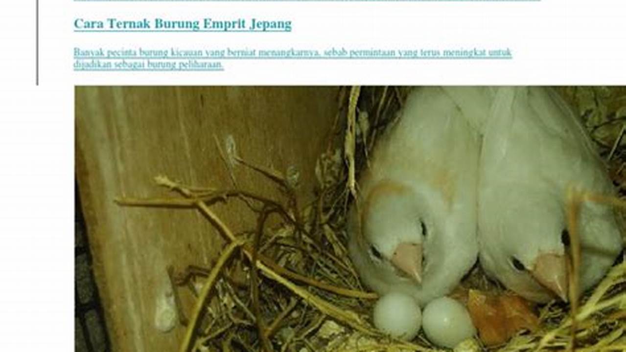 Panduan Lengkap: Cara Beternak Burung Emprit Jepang Sukses