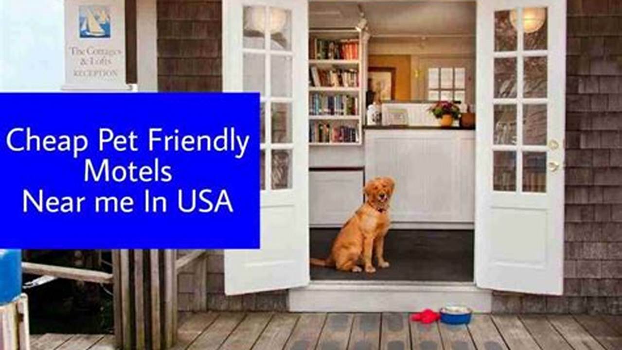 Discover 10 Cheap Motels in NYC That Welcome Pets!
